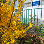 Naše fotovzpomínky