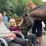 V květnu k nám přijedou terapeutičtí koníci!